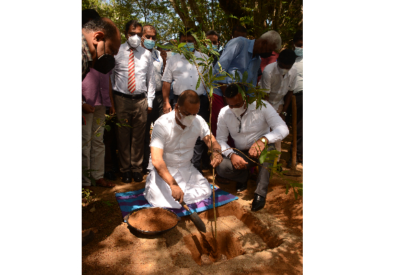 වැලි ඝන මීටර් මිලියන 57ක අවශ්‍යතාවක්... | Srilanka Nature