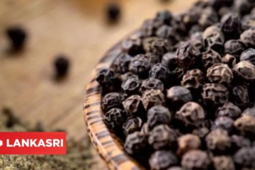 இருமல், சளி எந்த பிரச்சினையாக இருந்தாலும் இந்த ஒரு பொருள் சாப்பிட்டால் போதும்!