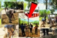 குருக்கள்மடத்தில் மண் படிமப் பரிசோதனைகள் முன்னெடுப்பு..!