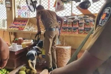யாழில் ஐந்தறிவு ஜீவனால் மூவர் அதிரடி கைது!