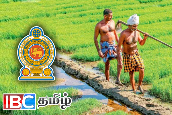 யாழில் உள்ள விவசாயிகளுக்கு வெளியான முக்கிய அறிவிப்பு | Announcement For Paddy Farmers In Jaffna யாழில் உள்ள விவசாயிகளுக்கு வெளியான முக்கிய அறிவிப்பு | Announcement For Paddy Farmers In Jaffna