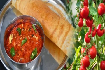 கும்பகோணம் பாணியில் காரசாரமான தக்காளி சட்னி... ஒரு முறை இப்படி செய்து பாருங்க