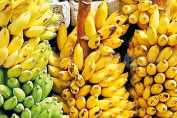 යාපනයේ කාබනික ඇඹුල් කෙසෙල් ගැන මෙරටින් ඇහෙන අලුත්ම ආරංචිය.