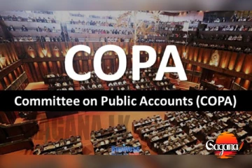 මේ කියන විදිහට විදුලි සේවකයන්ට වන්දිත් නැතිව ගෙදර ඉන්න වෙයිද? මෙන්න විස්තරේ