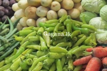 අහස උසටම යන එළවළු මිල.