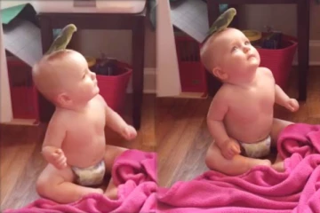 தலையில் சுற்றித் திரிந்த பறவை! குழந்தையின் ரியாக்ஷனை பாருங்க