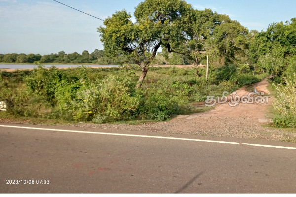 பயணிக்க முடியாத தண்டுவான் குளங்கீழ் வீதி: பாதிக்கப்படும் விவசாய மக்கள் | Sri Lankan Tamil People Problems