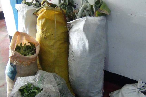 நீண்ட காலமாக அத்தியாவசிய பொருட்களை களவாடிய  கும்பலை கைது செய்த பொலிஸார்! | Police Arrest Gang For Stealing Essential Items