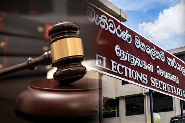 தேர்தல்கள் ஆணைக்குழுவுக்கு இடையூறு விளைவித்த அரசியல் கட்சியின் உறுப்பினருக்கு பிணை