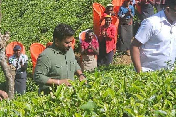 நாட்டை கட்டியெழுப்ப சட்ட ஆட்சி அவசியம் ; ஜனாதிபதி அநுர உறுதி | Rule Law Essential Country President Anura Affirms