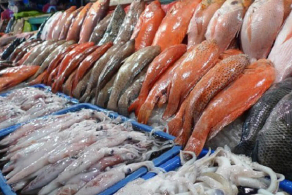 நாட்டில் மீன்களின் விலை திடீர் அதிகரிப்பு | Fish Prices Increase Suddenly In The Country