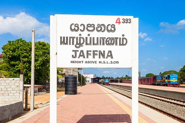 யாழில் மூளையில் இரத்தக்கசிவால் பலியான குடும்பப் பெண் | Jaffna Woman Dies Of Brain Hemorrhage