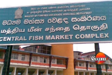 පෑලියගොඩ මාළු මේසයක් නිසා විශ්‍රාමික පොලිස් නිලධාරියාට වැඩ වරදී