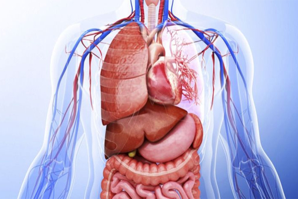 இதயத்துடிப்பு முதல் ரத்த அழுத்தம் வரை... நமது உடம்பில் எந்த அளவு இருக்கனும்னு தெரியுமா? | Do You Know Human Body Nursing Common Knowledge இதயத்துடிப்பு முதல் ரத்த அழுத்தம் வரை... நமது உடம்பில் எந்த அளவு இருக்கனும்னு தெரியுமா? | Do You Know Human Body Nursing Common Knowledge