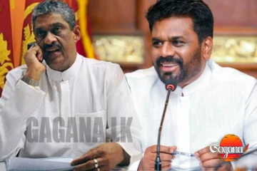 අනුර මහජන ආරක්ෂක ඇමතිකම ෆොන්සේකට දෙයිද?