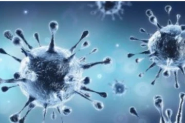 இதுவரை இல்லாத அளவில் இந்தியாவில் விஸ்வரூபம் எடுத்த கொரோனா பாதிப்பு