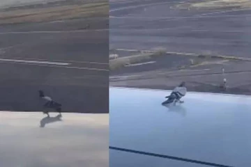 சார் நாங்க யாரு தெரியுமா ? விமான இறக்கையில் அமர்ந்த புறா : வைரலாகும் வீடியோ