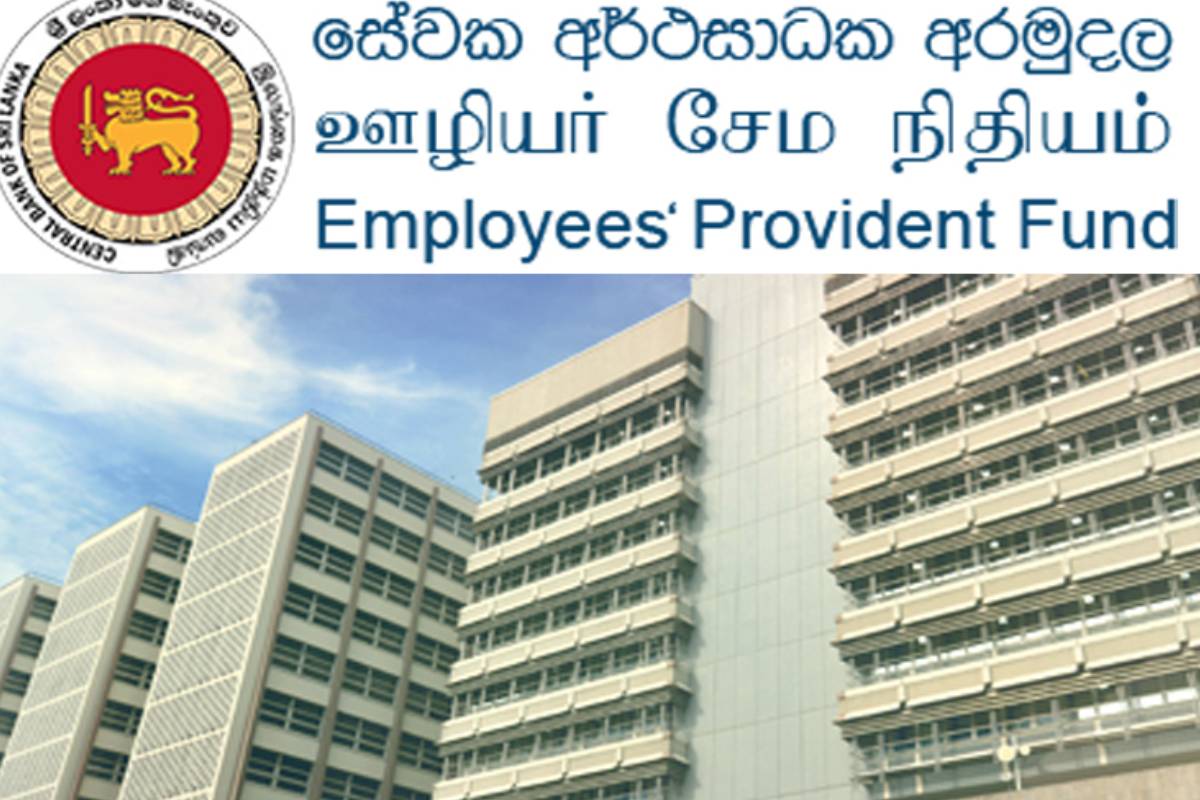 ஊழியர் சேமலாப நிதியம் தொடர்பில் வெளியாகியுள்ள தகவல் | Information Released Employees Provident Fund Epf
