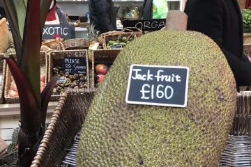 இலங்கையில் குப்பையில் கிடக்கும் பலாப்பழம்! லண்டனில் 44,130 ரூபாய்க்கு விற்பனை