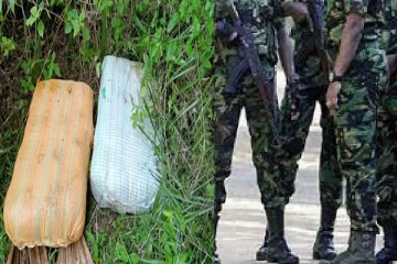 யாழில் பெருமளவிலான கஞ்சா பொதிகள் மீட்பு(Photos)