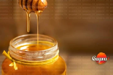 මී පැණිවලට සීනි කලවම් කර මී පැණි නිෂ්පාදනය කළ ව්‍යාපාරිකයකුට ලැබුණු දඩුවම