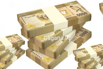 ලංකාවේ සුපිරි ධනවතුන් 100 ක් ගැන විශේෂ දැනුම්දීමක්..ඔවුන්ට කරන්න යන දේ මෙන්න..