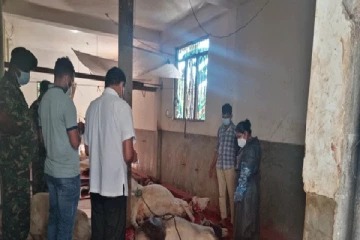 வயிற்றில் கன்றுகளுடன் பசுமாடுகள் வெட்டிக்கொலை