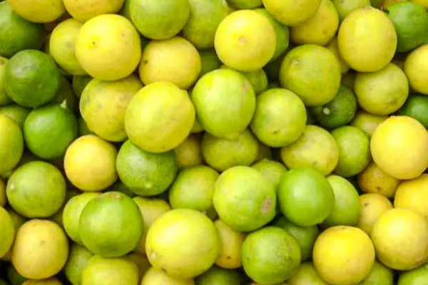 சந்தையில் சடுதியாக அதிகரித்துள்ள எலுமிச்சை விலை | Lemon Prices Have Increased Suddenly In Sri Lanka