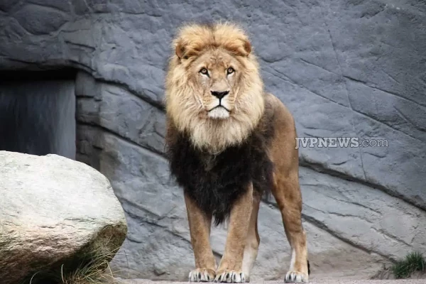 பூங்கா புகைப்பட கட்டணமும் எகிறியது! | Zoo