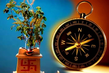 சாஸ்திரப்படி துளசி செடியை எந்த திசையில் வைக்கணும் தெரியுமா?