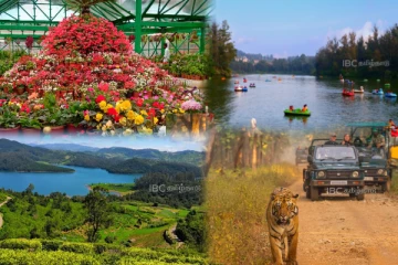 இயற்கை என்ற சொல்லுக்கு முழு அர்த்தம்'னா நீலகிரிதான் - இங்கு சுற்றிப்பார்க்க வேண்டிய முக்கிய இடங்கள்!