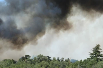 හැටන් ලොග්ගිල් රක්ෂීතයේ විශාල ගින්නක්