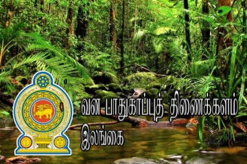 காட்டுத் தீயினால் அழிவடையும் காடுகள்: விழிப்புணர்வு வாரத்தை செயல்படுத்த திட்டம்