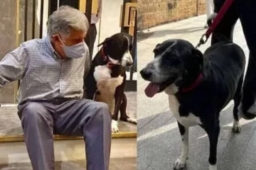 ரத்தன் டாடாவின் அன்பான வளர்ப்பு நாய்.. ஏக்கத்தில் இறப்பு - தீயாய் பரவும் தகவல்?