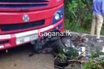 තවත් බිහිසුණු අනතුරක්..කොළඹ ප්‍රධාන මාර්ගයක් වැසේ..