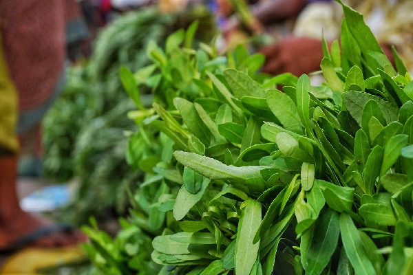 இரும்புச்சத்து அளவை அதிகரிக்க நீங்கள் உட்கொள்ள வேண்டிய 05 காய்கறிகள் | 5 Cruciferous Vegetables Boost Iron Levels