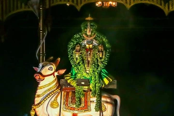 பச்சை அலங்காரத்தில் பவனிவந்த  யாழ் நல்லூர் கந்தன்!