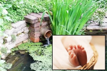 வத்தளையில் தண்ணீர்த் தொட்டிக்குள் விழுந்து 3 வயது குழந்தை பலி