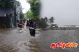 நீர்கொழும்பில் பல இடங்கள் வெள்ளத்தில் மூழ்கின!