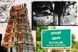 முன்னேஸ்வரம் வழிபாடு முடிந்து திரும்பியவர்களுக்கு நேர்ந்த சோகம்! ஒருவர் பலி - 12 பேர் காயம்