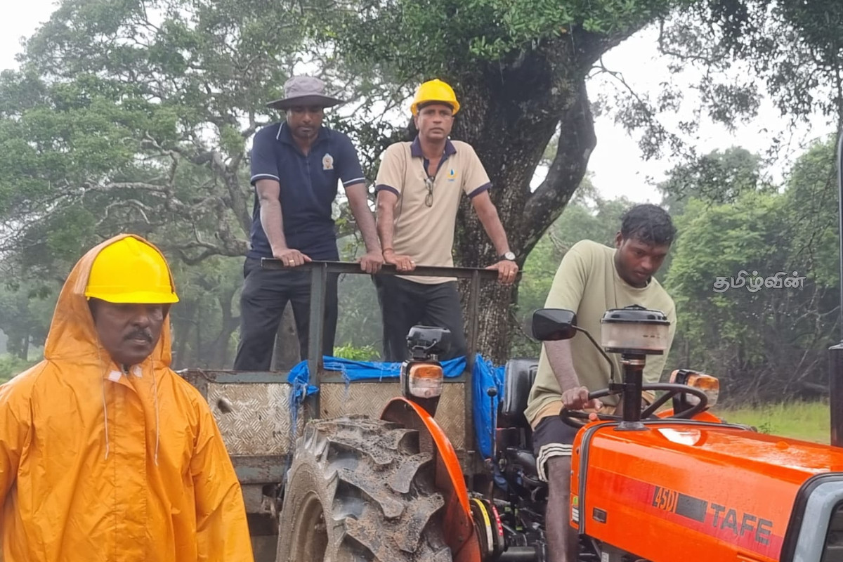 தொடர் சீரற்ற காலநிலையால் மன்னாரில் 351 குடும்பங்கள் பாதிப்பு! | 351 Families Affected In Mannar தொடர் சீரற்ற காலநிலையால் மன்னாரில் 351 குடும்பங்கள் பாதிப்பு! | 351 Families Affected In Mannar