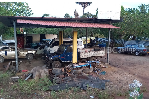 யாழில் பரிதாபமாக உயிரிழந்த மூன்று பிள்ளைகளின் தந்தை | Died Electric Shock Area Of Jaffna