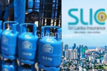 ශ්‍රි ලංකා ඉන්ෂුවරන්ස් සහ ලිට්‍රෝ ගන්න ඉදිරිපත් වූ අලුත් සමාගම් මෙන්න.