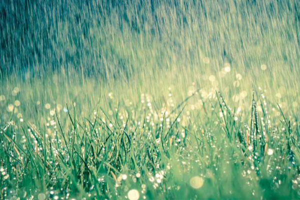 இன்றைய வானிலை அறிவிப்பு! | Today S Weather Announcement