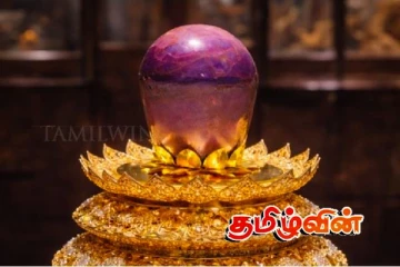 இலங்கையில் கண்டுபிடிக்கப்பட்ட மிகப்பெரிய இயற்கை ஊதா நிற நட்சத்திர நீலக்கல் அறிமுகம்