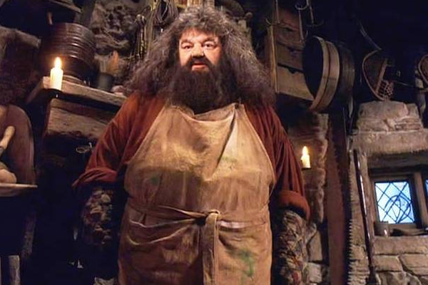 ஹரிபார்ட்டர் திரைப்படத்தில் நடித்த முக்கிய நடிகர் காலமானார்! | Harry Potter Movie Actor Robbie Coltrane Died