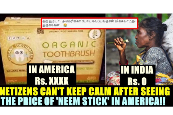 ஒரு வேப்பங்குச்சியின் விலை ரூ.1800: அமெரிக்காவில் களைகட்டும் விற்பனை | American Company Sells Neem Stick