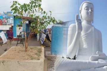 அரச மரம் முன்னே - புத்தர் சிலை பின்னே..!