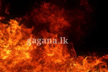 කසළ බැහැර කරන ස්ථානයක ගින්නක් - විශාල ප්‍රදේශයක් පුරා පැතිරී යයි.