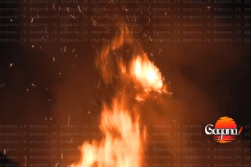 වාද්දුව සංචාරක හෝටලයක ගින්නක්